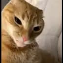 Lillweii